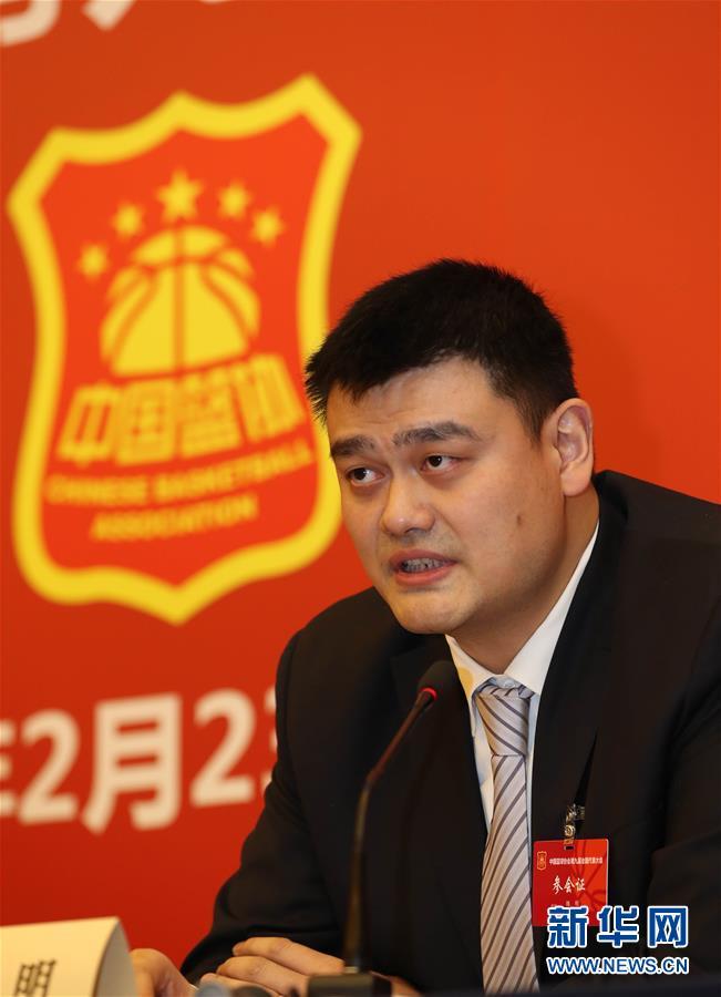 结论提出质